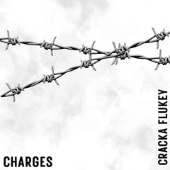 CHARGES (prod by birddie x milan made it)
