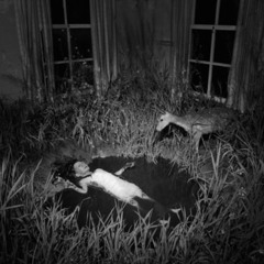 Morbid Haven [prod. TAKIZAVA]