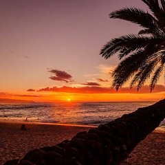 Sonic Session Vol 587