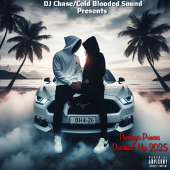 DJ Chase/Cold Blooded Sound Presents Passenger Princess Dancehall Mix (Raw)