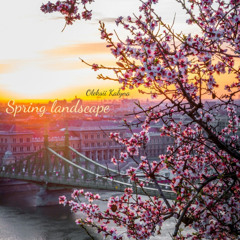 Spring landscape