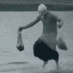 La Marche de Noé au fond des zoos selon Phah Braschi