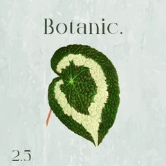Botanic Sprout - 2.5 - gsxtavo