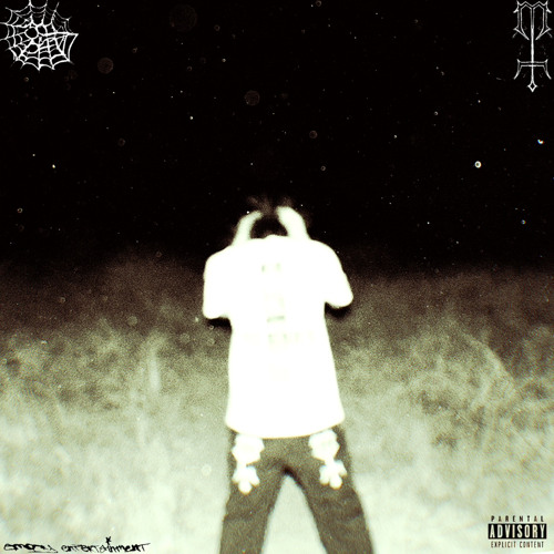 PUT IT ON (prod. feedingheracid)