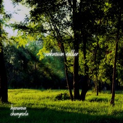 unknown caller (feat. cherryrizla)