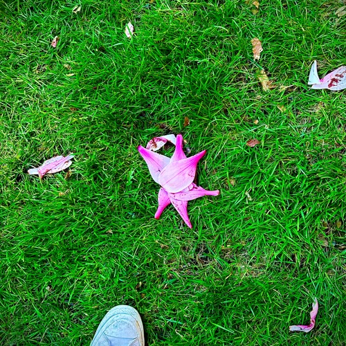 Cache 008: Spring In Your Step