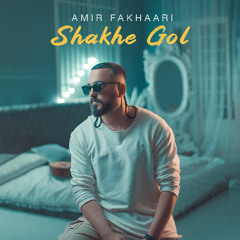 Amir Fakhaari - Shakhe Gol
