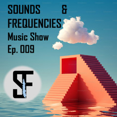 Sounds & Frequencies Ep. 009 - (House & Groove) Boat Party DJ Set