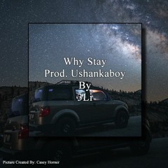 Why Stay Prod. Ushankaboy By 3Li