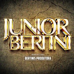JUNIOR BERTINI - SANFONINHA 2K25