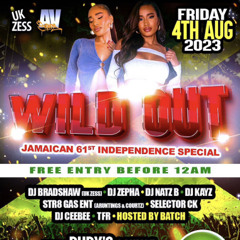 DJCEEBEEUK - LIVE @ WILD OUT I R&B & HIPHOP I HOSTED BY DJ NATZ B