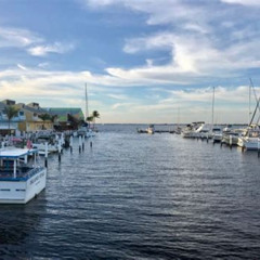 Best Things To Do In Punta Gorda Florida This Weekend Tours Reviews