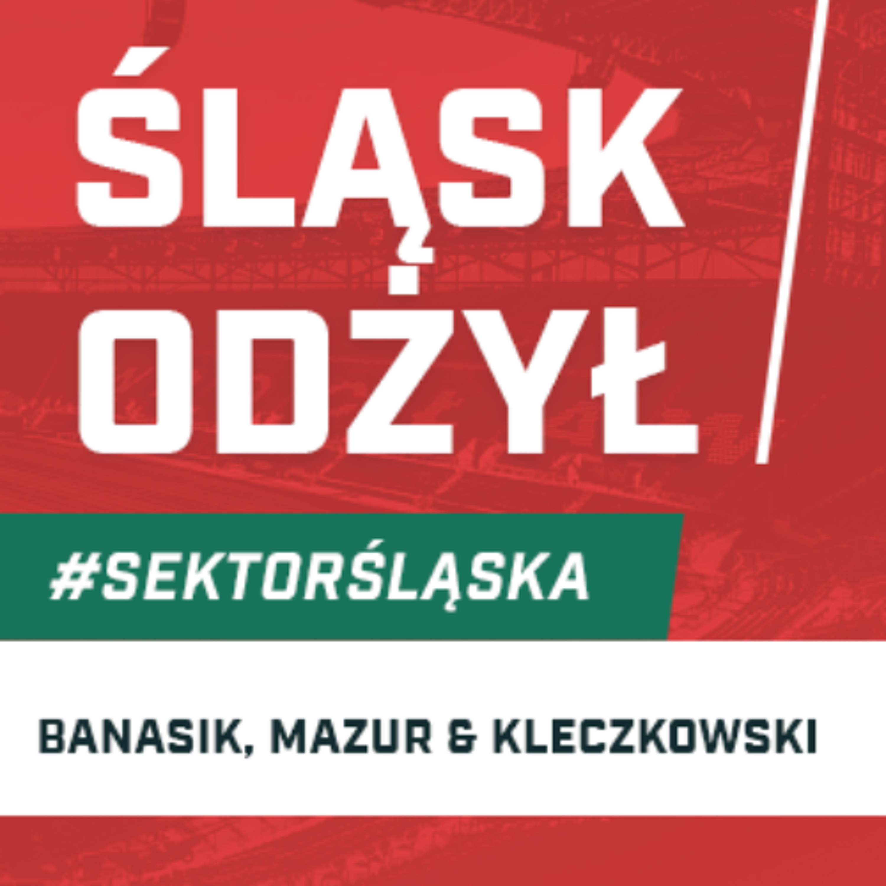 Śląsknet