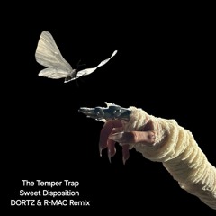 The Temper Trap - Sweet Disposition (DORTZ & R-MAC Remix)