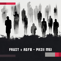 Pasii mei