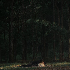 ANATOMY RABBIT - นอนหน่อยไหม Night Night