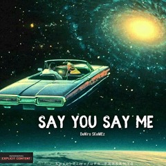 Say You Say Me