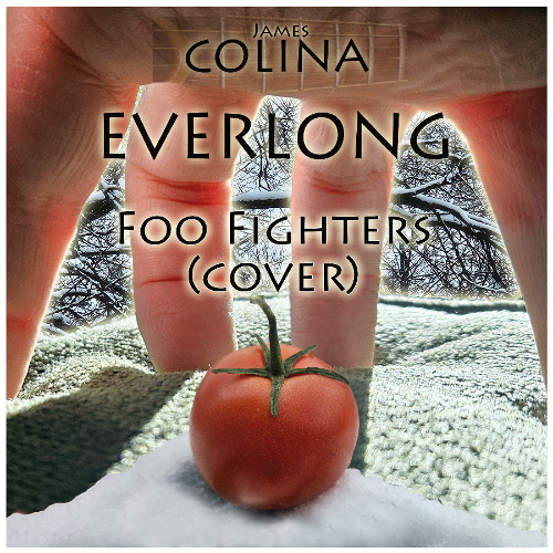 LANDR-A #1 Everlong Foo Fighter cover James Colina-Balanced-Medium