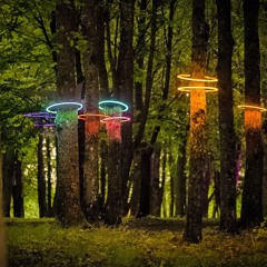 Elektrinis Ežys 2025 / Electric Hedgehog 2025