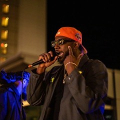 LLC Freestyle