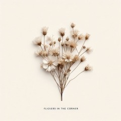 Flickers In The Corner