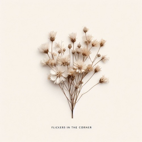 Flickers In The Corner