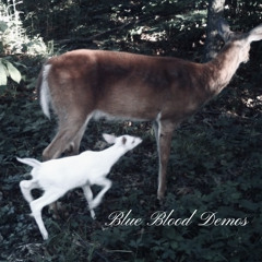 Blue Blood