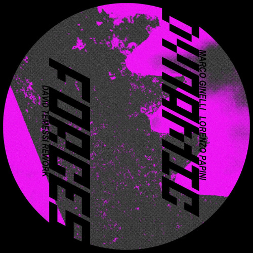 Marco Ginelli, Lorenzo Papini - Dynamic Forces (David Temessi Rework)