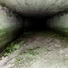 Probably Just A Song For My Ex Ft. INFINITYISDEAD