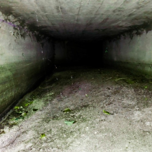 Probably Just A Song For My Ex Ft. INFINITYISDEAD