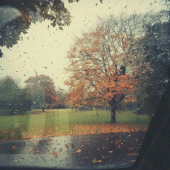 beautiful november rain (lofi chill beats)