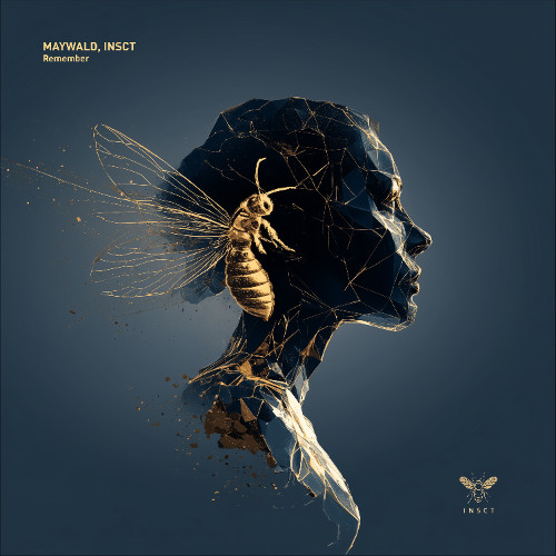 Maywald, INSCT - Remember (Extended)