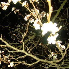 weekend [manyice4 & pradascent]