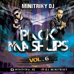 Pack Mashups Vol.6 (DJ MINITRIKY)