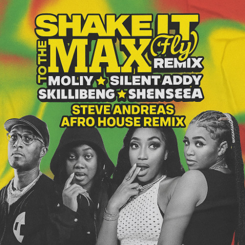 Shake It To The Max ( FLY) (Remix) STEVE ANDREAS AFRO HOUSE REMIX