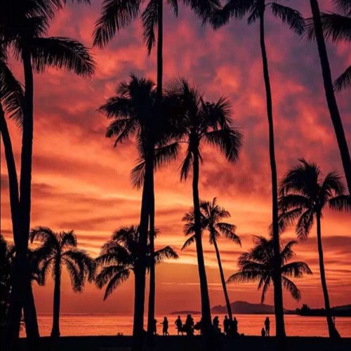 VIETDEEP--Music Is My Life Vol.02