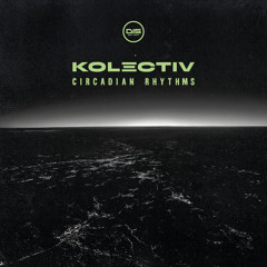 Calibrate (feat. PAV4N)