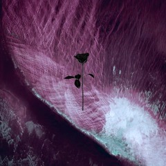PREMIERE: Malov Feat. Sandhaus - On Fire (Original Mix) [Black Rose]