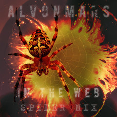 In The Web (Spider Mix)