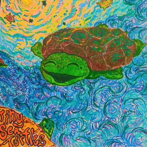 tiny sea turtles
