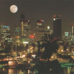 Hollywood (1andino)
