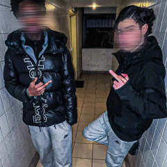 VR MLP - Tout Droit #1