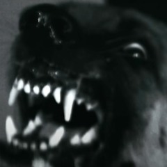 bigdawg