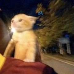 zzzgoura - meia noite no relogio