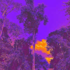 Into-The-Mood_Socci(Mix)