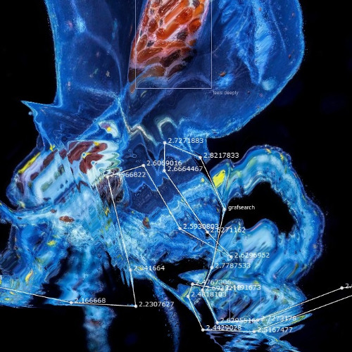 Underwater Forager