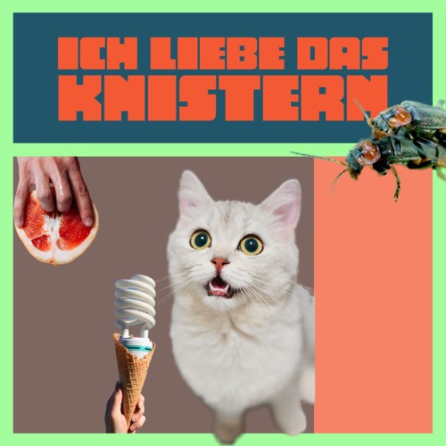 Ich Liebe Das Knistern # 6 - Barrio Katz