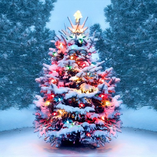 AMPLIFY X CLARKEY - LIFE (XMAS FREE DOWNLOAD)