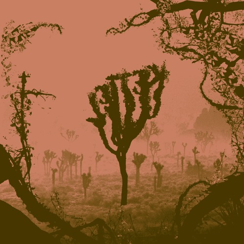 Kettel - My Dogan (15th Anniversary Edition) | Perennial Series #11