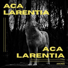 BANGKIT PREMIERE: AMORØS - Aca Larentia